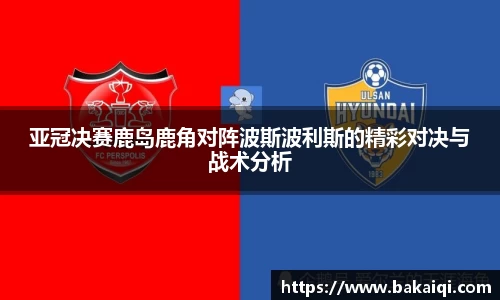 完美体育365平台官网