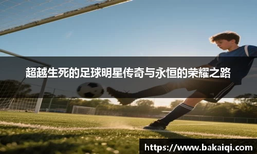 完美体育365平台官网